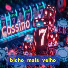 bicho mais velho da loteria dos sonhos